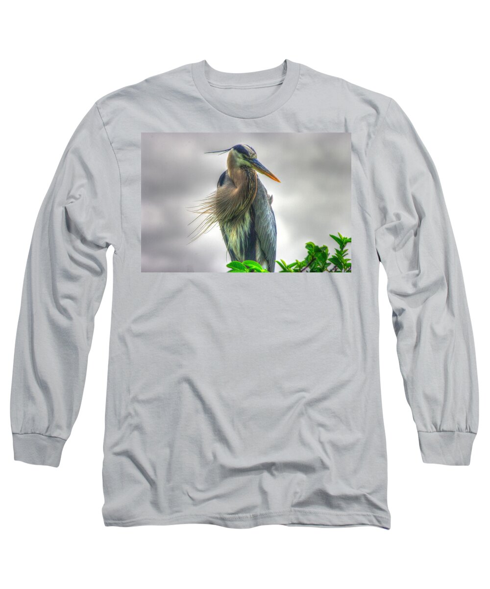 Great Blue Heron Long Sleeve T-Shirt featuring the photograph Great Blue Heron by Dennis Baswell