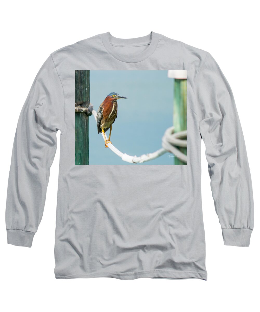 Susan Molnar Long Sleeve T-Shirt featuring the photograph Green Heron IV by Susan Molnar