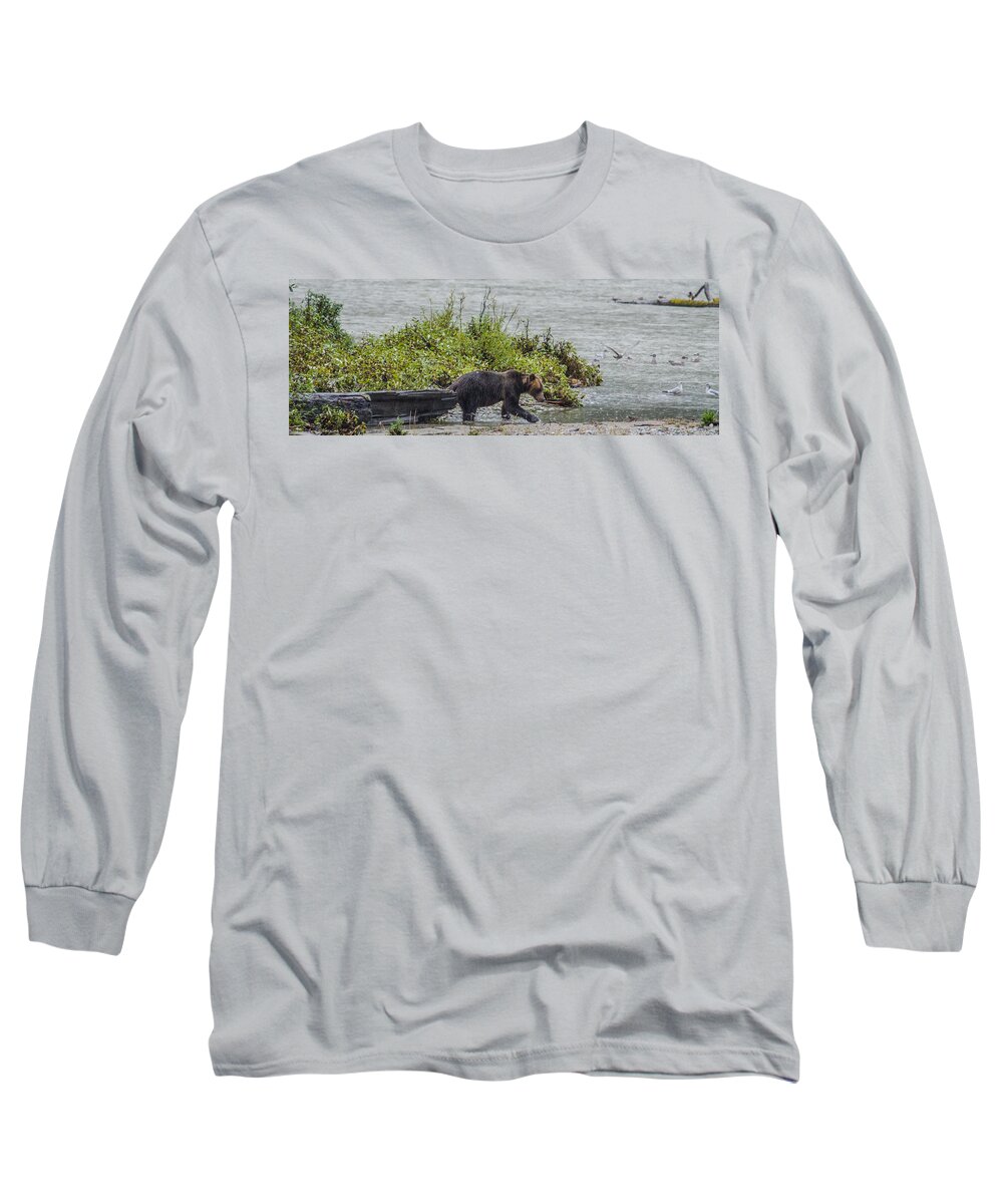 Grizzly Bear Long Sleeve T-Shirt featuring the photograph Grizzly Bear Late September 4 by Roxy Hurtubise