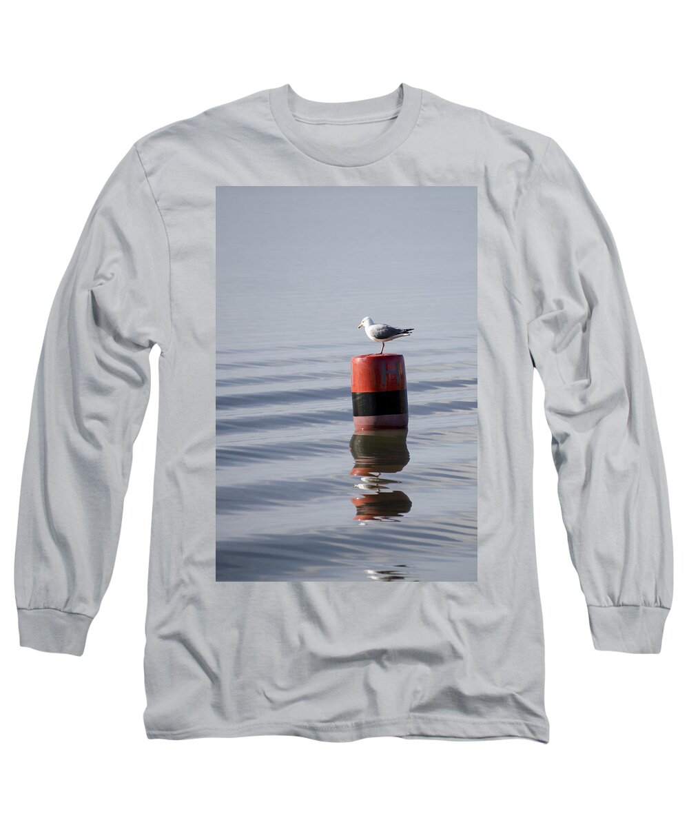 Sand Long Sleeve T-Shirt featuring the photograph Gull by Spikey Mouse Photography