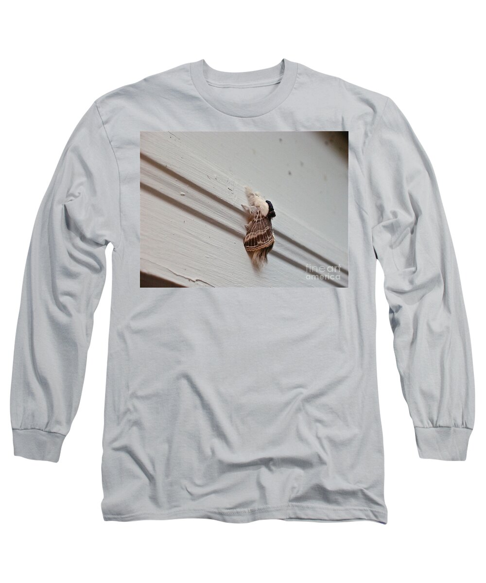 Moths Long Sleeve T-Shirt featuring the photograph Hairy Russian Moth by Christopher Plummer