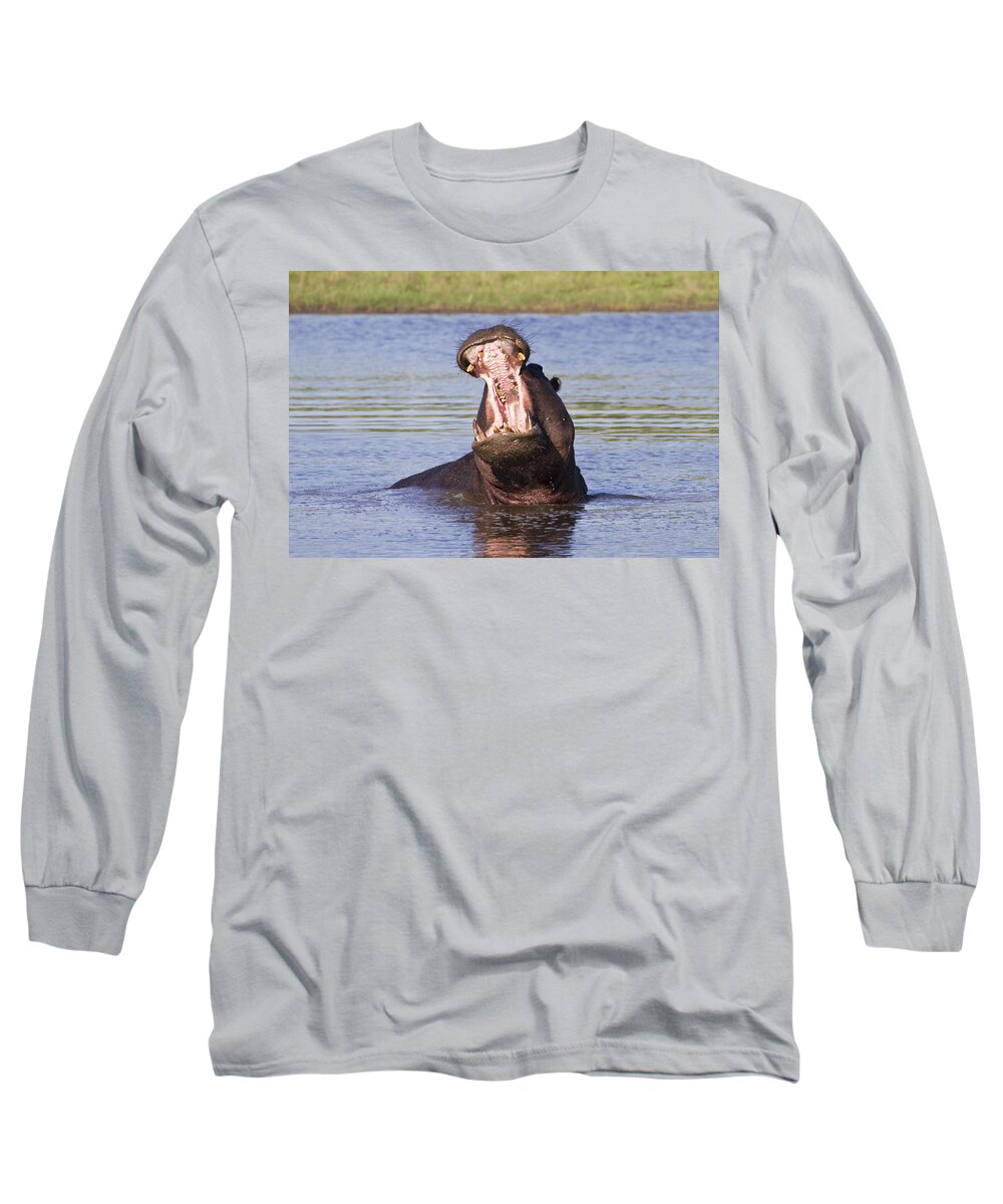 Flpa Long Sleeve T-Shirt featuring the photograph Hippo In Aggressive Display Okavango by Dickie Duckett