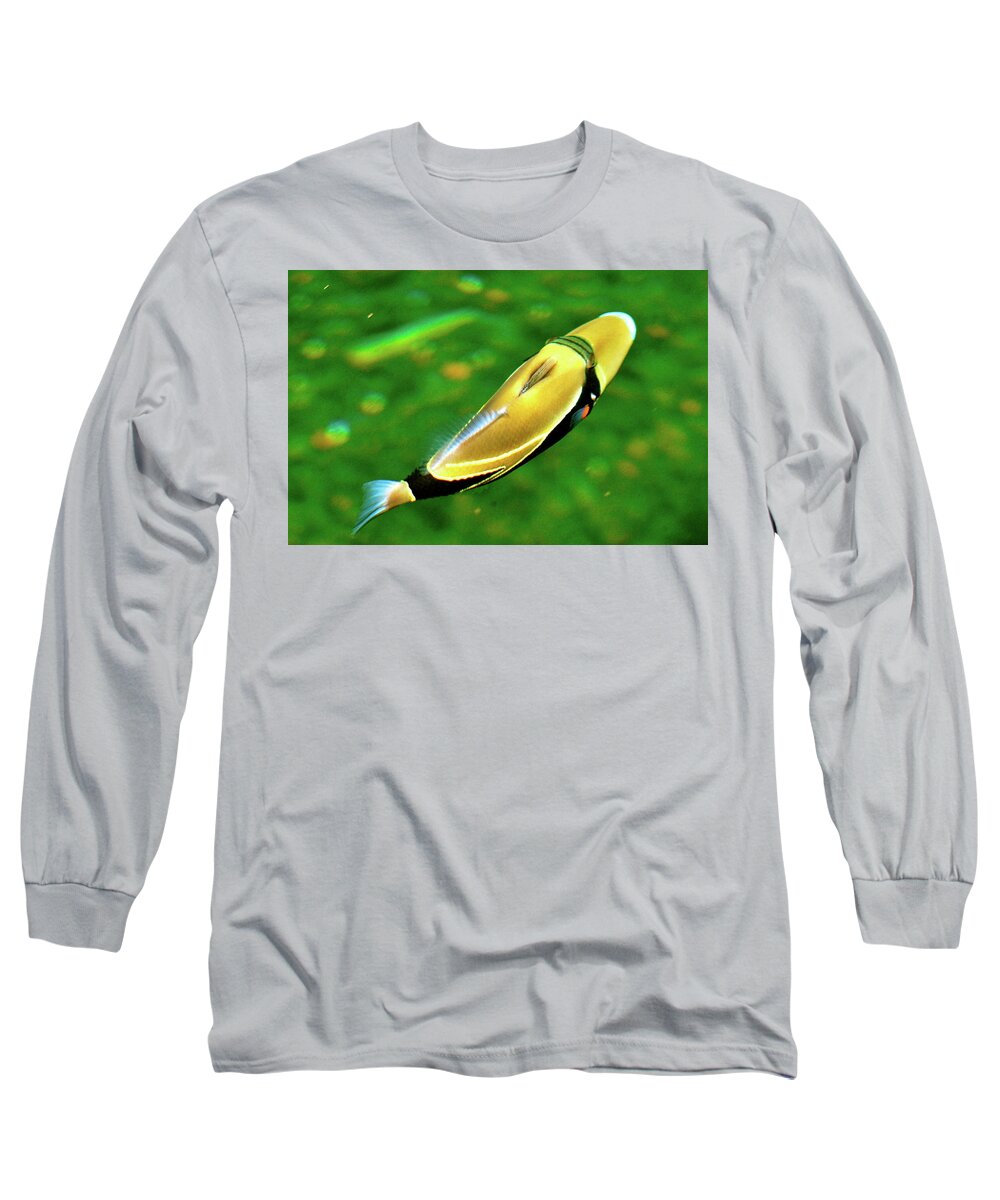 Fish Long Sleeve T-Shirt featuring the photograph Humuhumunukunukuuapuaa by Lehua Pekelo-Stearns
