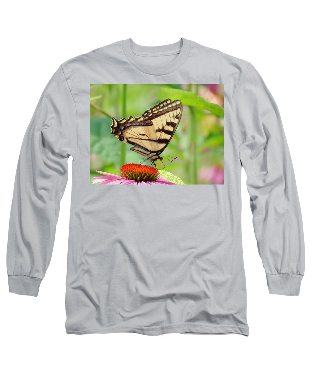 Tiger Swallowtail Butterfly Long Sleeve T-Shirt featuring the photograph July Swallowtail by MTBobbins Photography