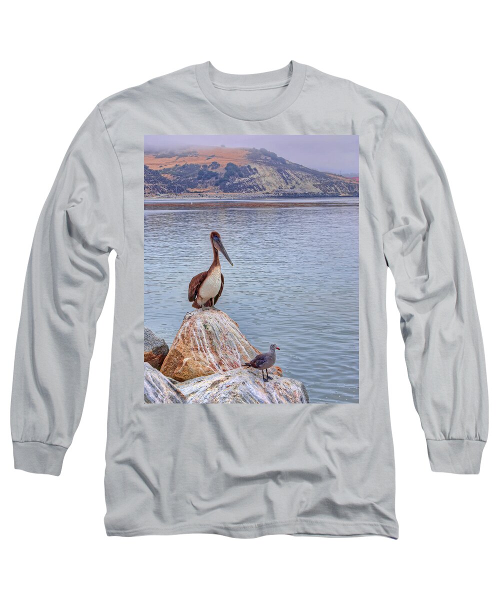Bird Long Sleeve T-Shirt featuring the photograph King and Minion by Nikolyn McDonald