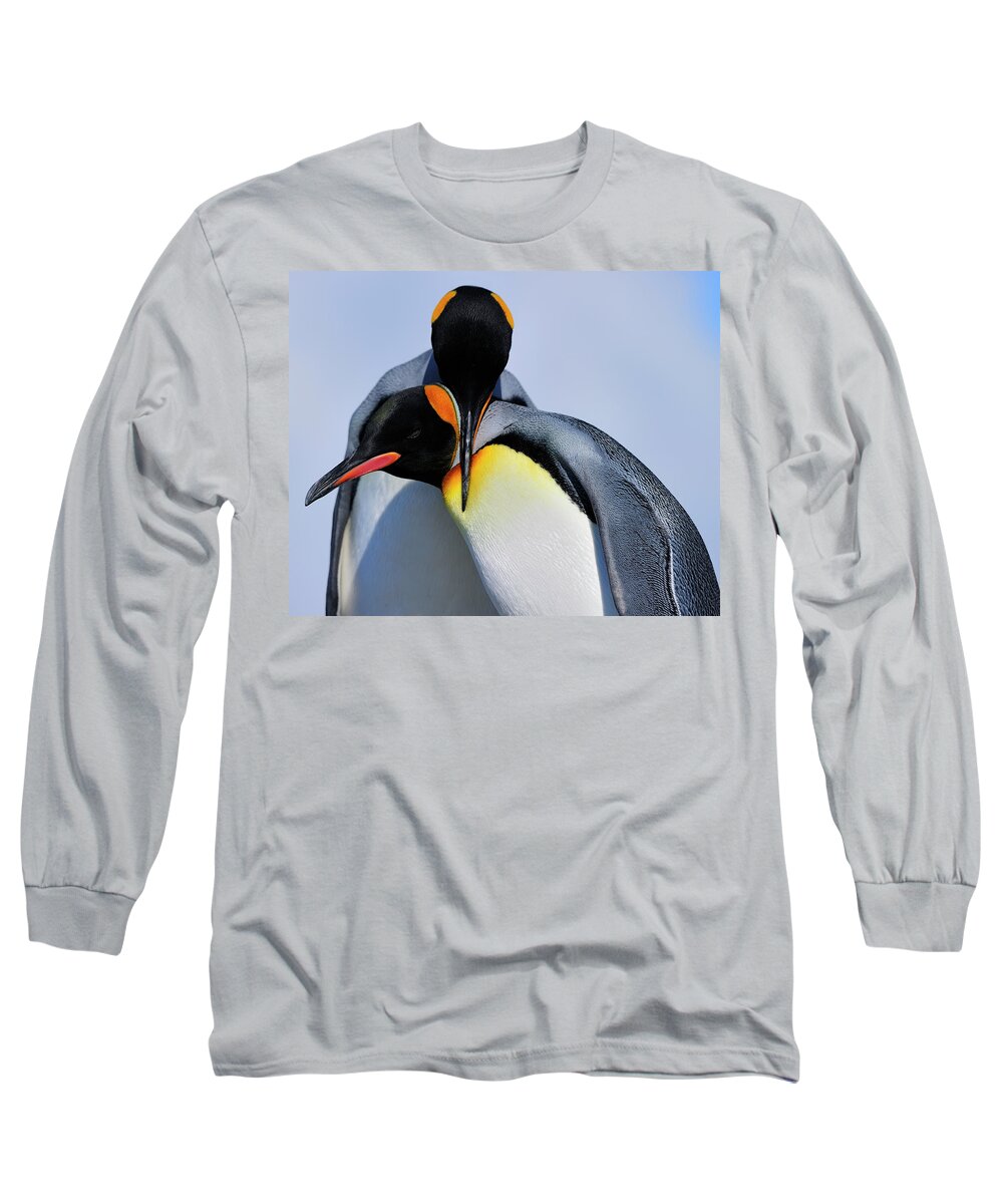 King Penguin Long Sleeve T-Shirt featuring the photograph King Penguins Bonding by Tony Beck