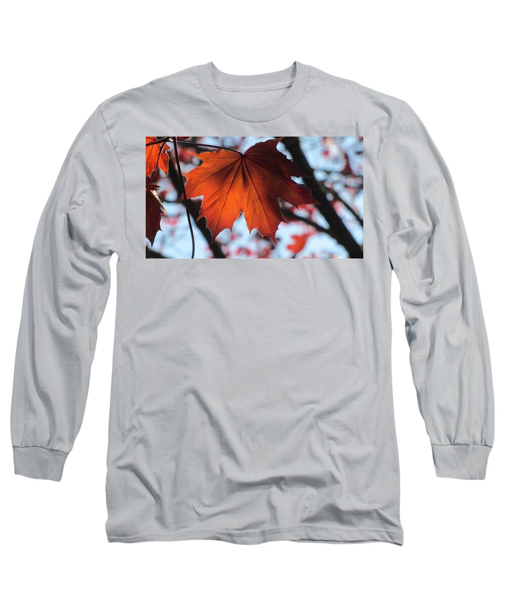 Leaf Long Sleeve T-Shirt featuring the photograph Leaves Backlit 2 by Anita Burgermeister