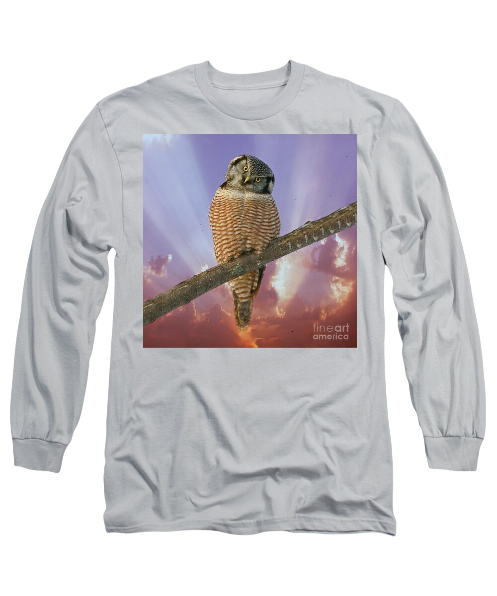 Hawk Owl Long Sleeve T-Shirt featuring the photograph Lest ye be judged by Heather King