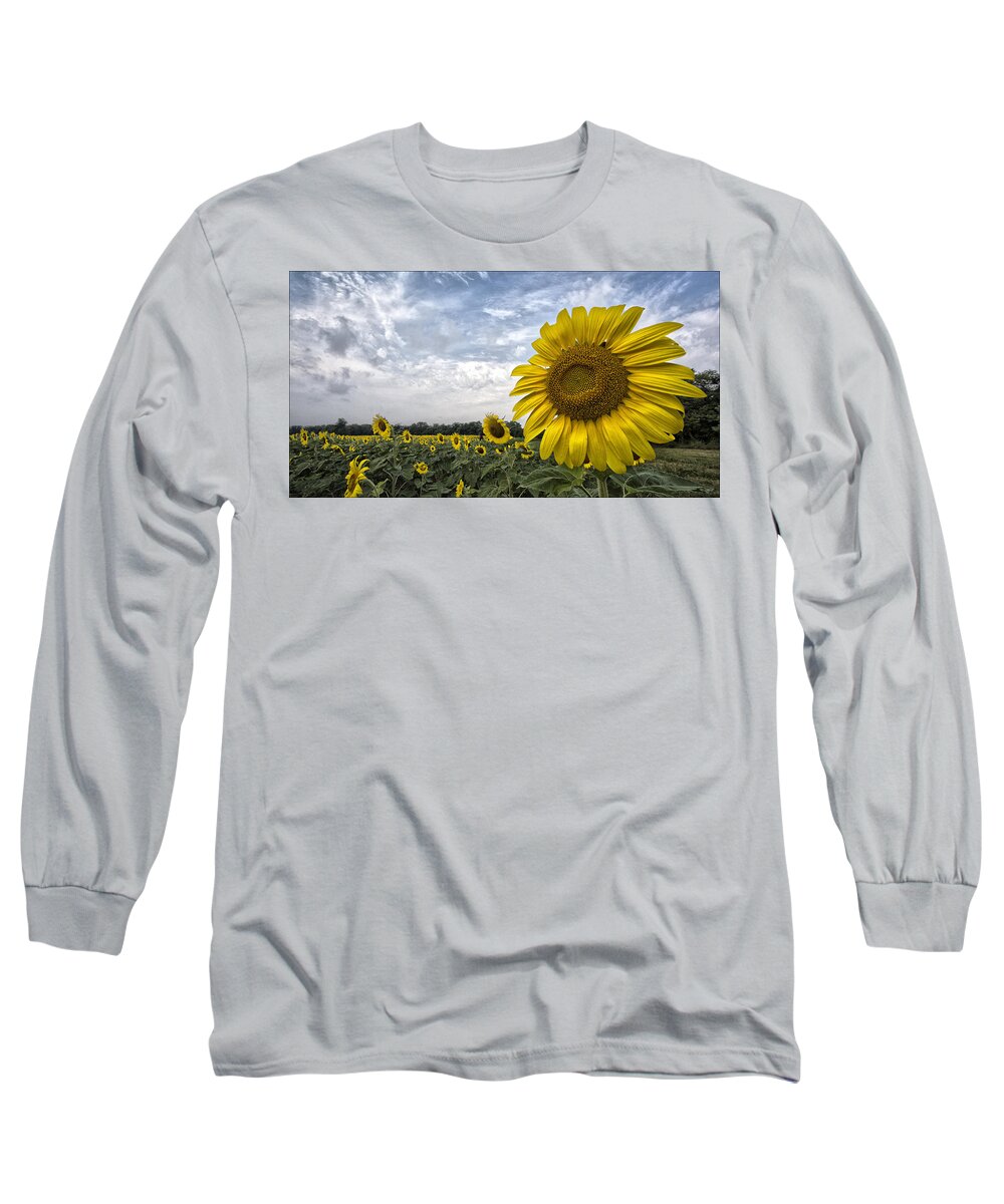 Helianthus Annuus Long Sleeve T-Shirt featuring the photograph Looking at the Sun by Robert Fawcett
