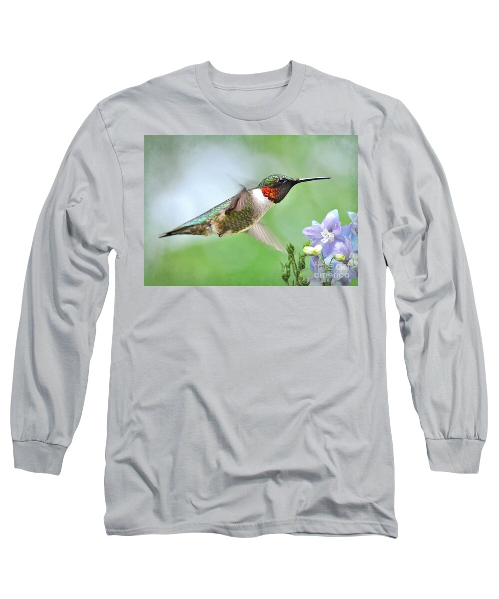 Hummingbird Long Sleeve T-Shirt featuring the photograph Male Hummingbird Hovering Over Lavender Lapspar Flowers by Kathy Baccari