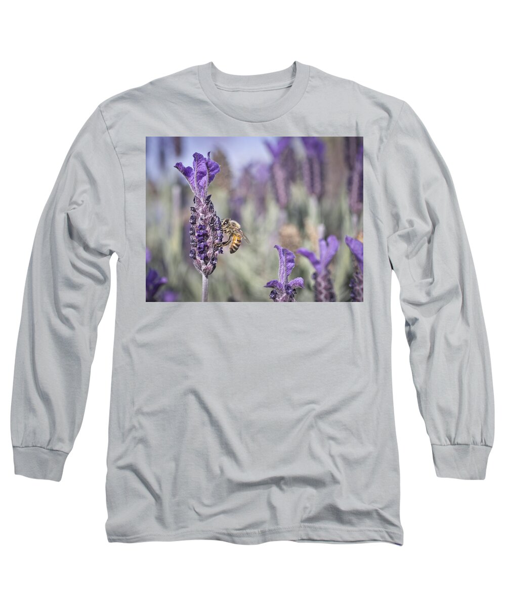 Bee Long Sleeve T-Shirt featuring the photograph On The Lavender by Priya Ghose