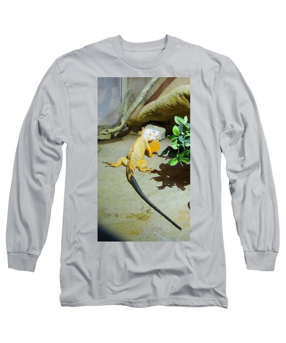 Out Of Africa Long Sleeve T-Shirt featuring the photograph Out of Africa Orange Lizard 2 by Phyllis Spoor