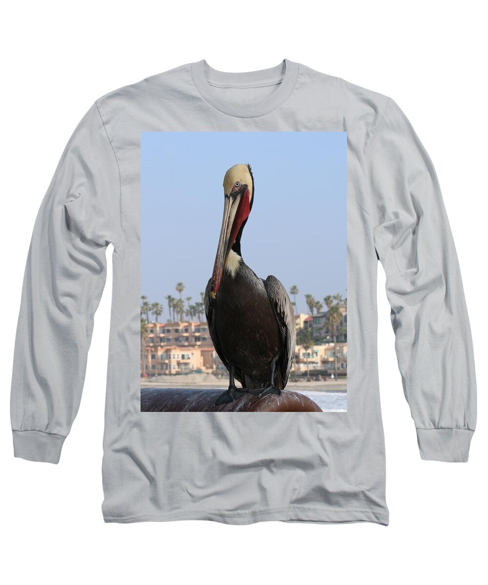 Wild Long Sleeve T-Shirt featuring the photograph Pelican - 2 by Christy Pooschke