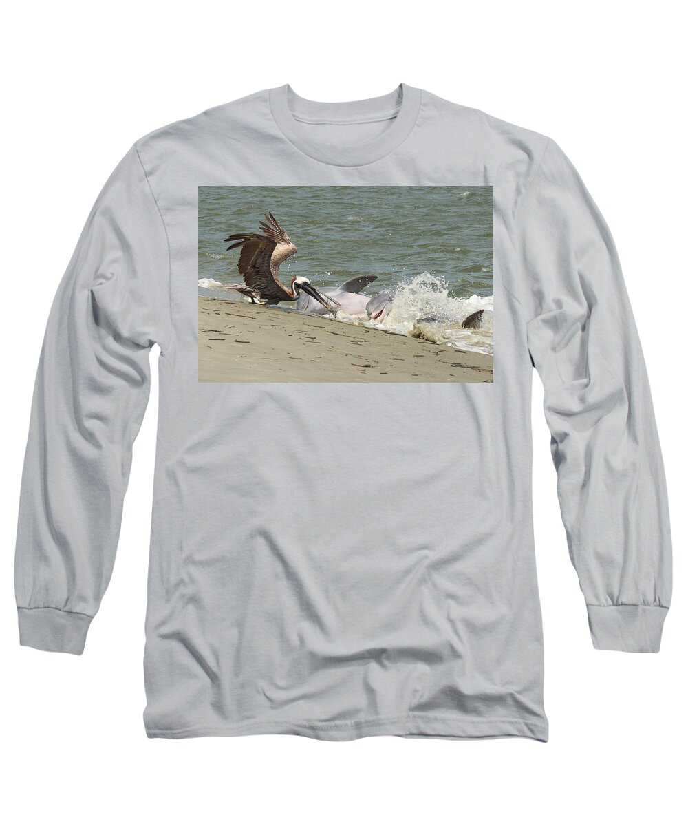 Pelican Long Sleeve T-Shirt featuring the photograph Pelican Steals the Fish by Patricia Schaefer