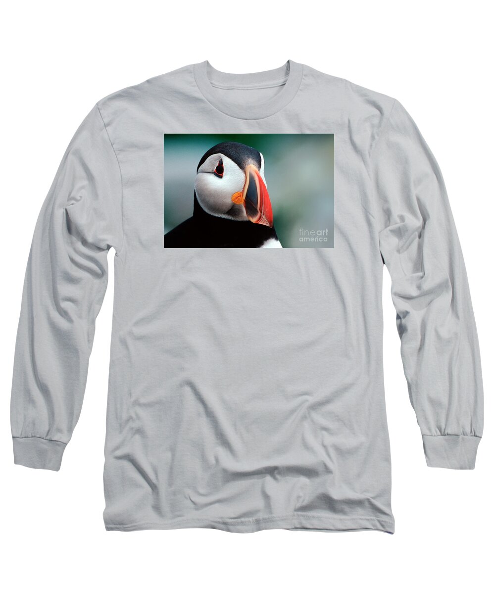 Atlantic Puffin Long Sleeve T-Shirt featuring the photograph Puffin Head Shot by Jerry Fornarotto