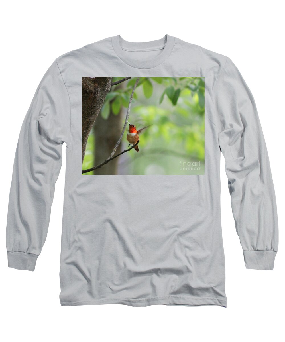 Hummingbird Long Sleeve T-Shirt featuring the photograph Ready for Take-Off by Leone Lund