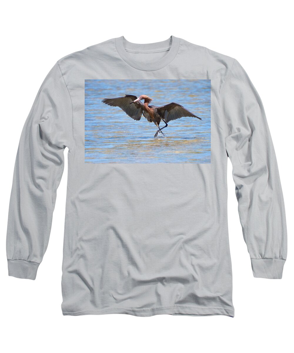 Reddish Egret Long Sleeve T-Shirt featuring the photograph Reddish Tent by David Beebe