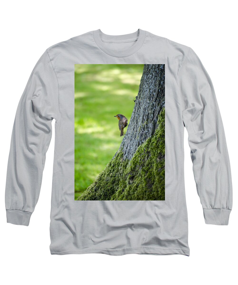 Garden Long Sleeve T-Shirt featuring the photograph Robin At Rest by Spikey Mouse Photography