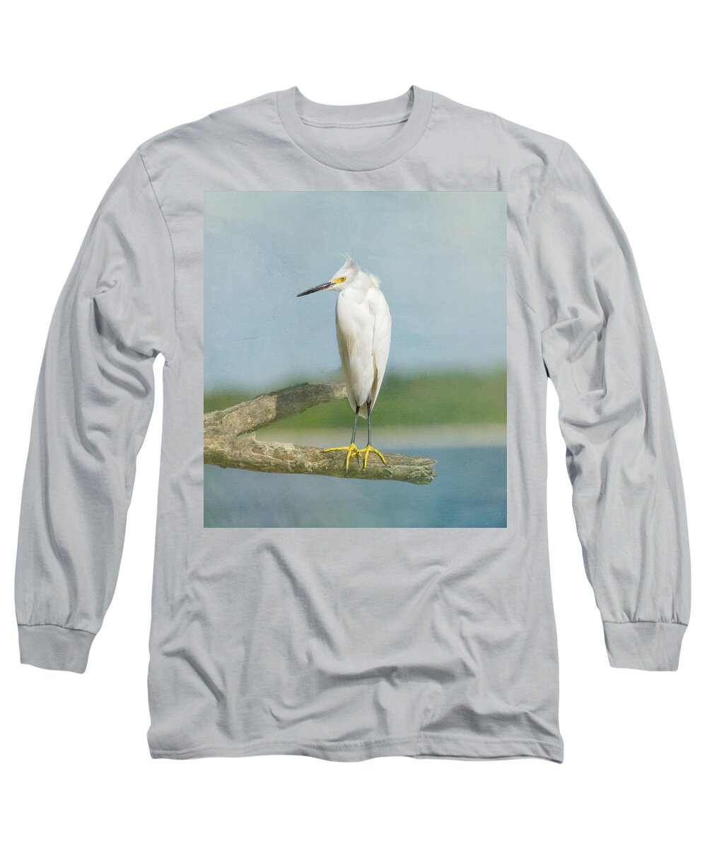 Egret Long Sleeve T-Shirt featuring the photograph Snowy Egret by Kim Hojnacki