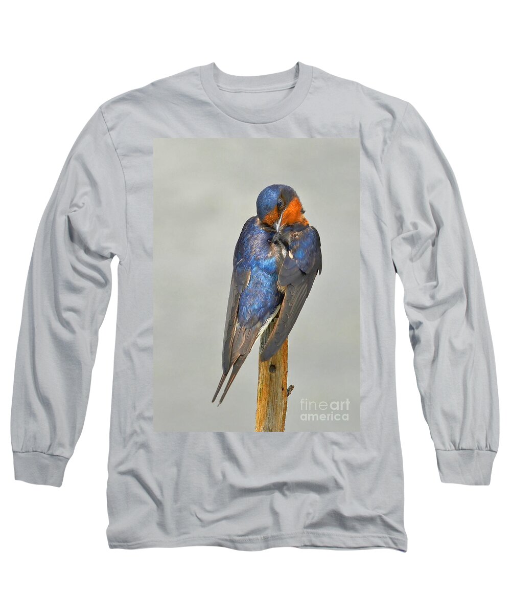 Swallow Long Sleeve T-Shirt featuring the photograph Swallow by Kathy Baccari
