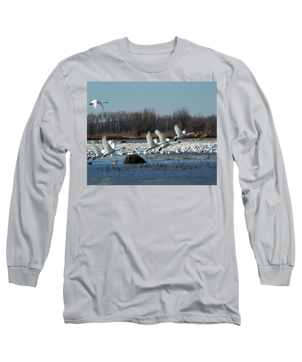 Nature Long Sleeve T-Shirt featuring the photograph Swans in Flight by Pamela Peters
