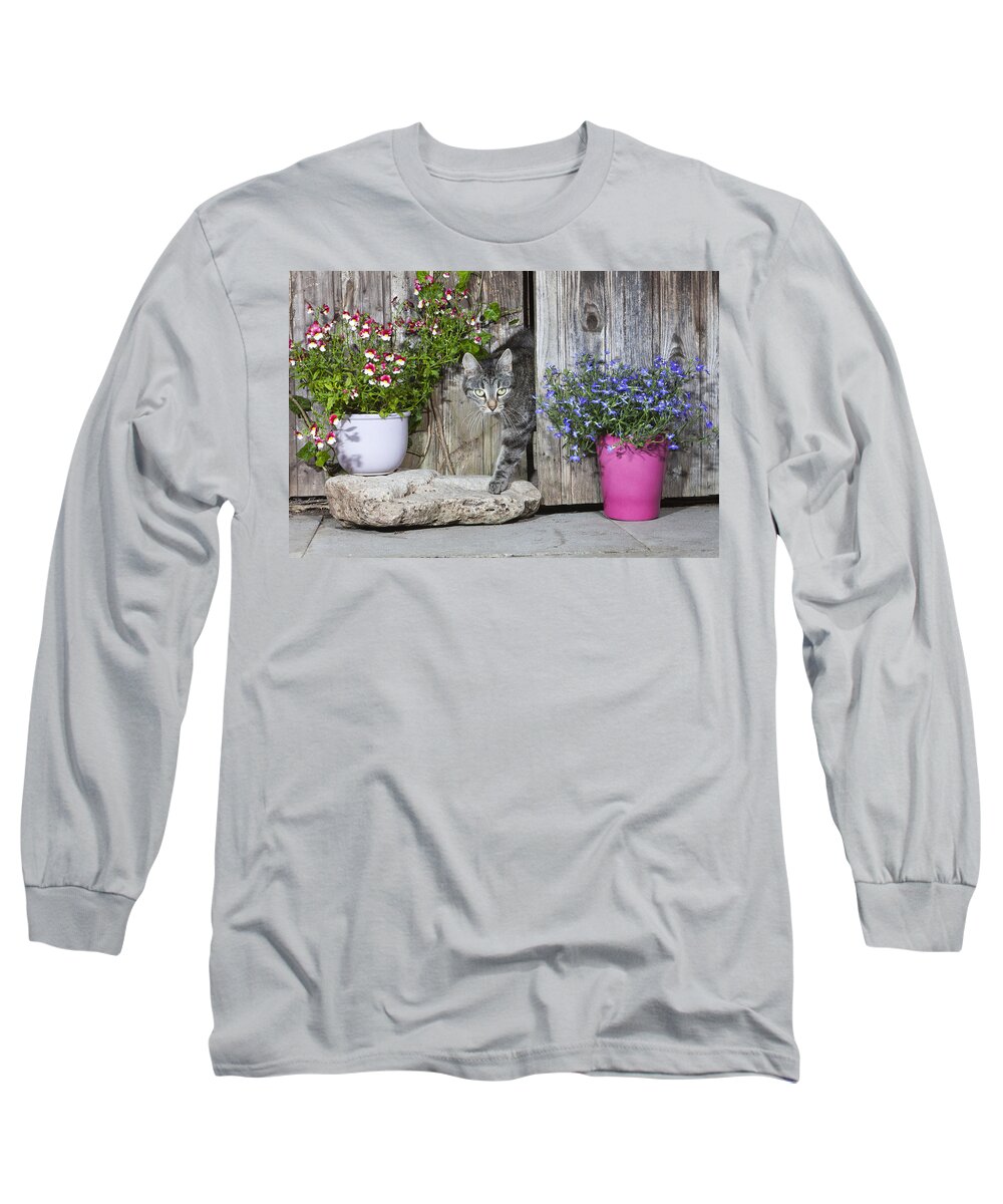 Feb0514 Long Sleeve T-Shirt featuring the photograph Tabby Cat Emerging From Shed by Duncan Usher