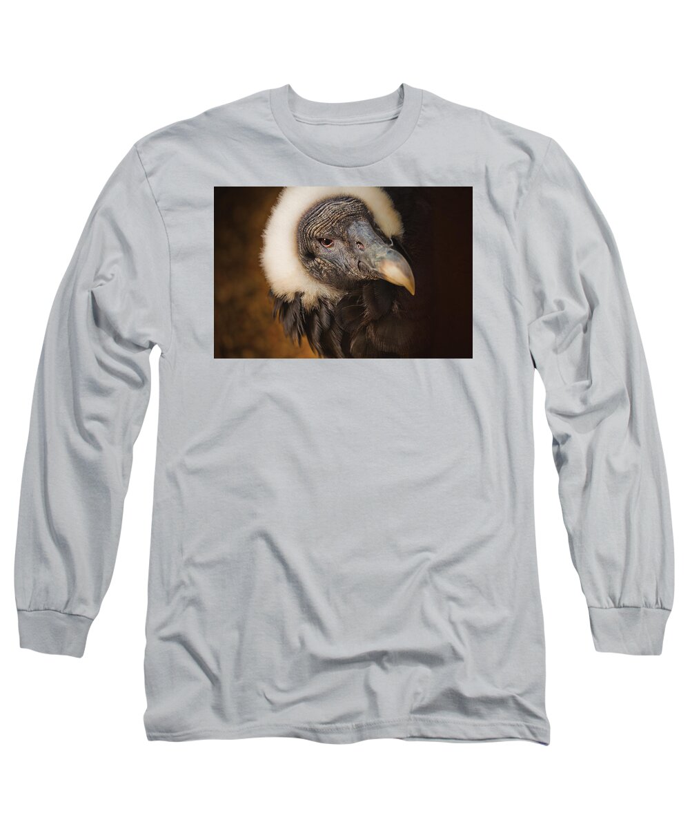 Vulture Photographs Long Sleeve T-Shirt featuring the digital art Vallerie by David Davies