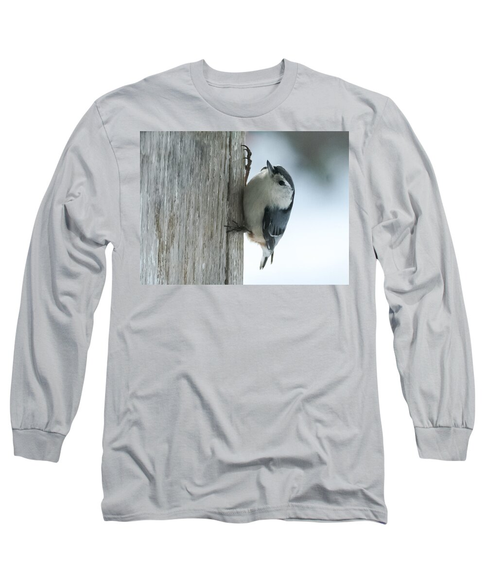 Bird Long Sleeve T-Shirt featuring the photograph White-Breasted Nuthatch by Holden The Moment