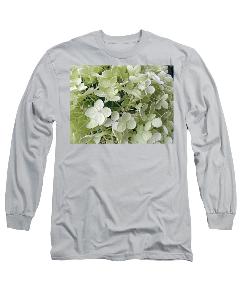 Petals Long Sleeve T-Shirt featuring the photograph White Petals by Jo Smoley