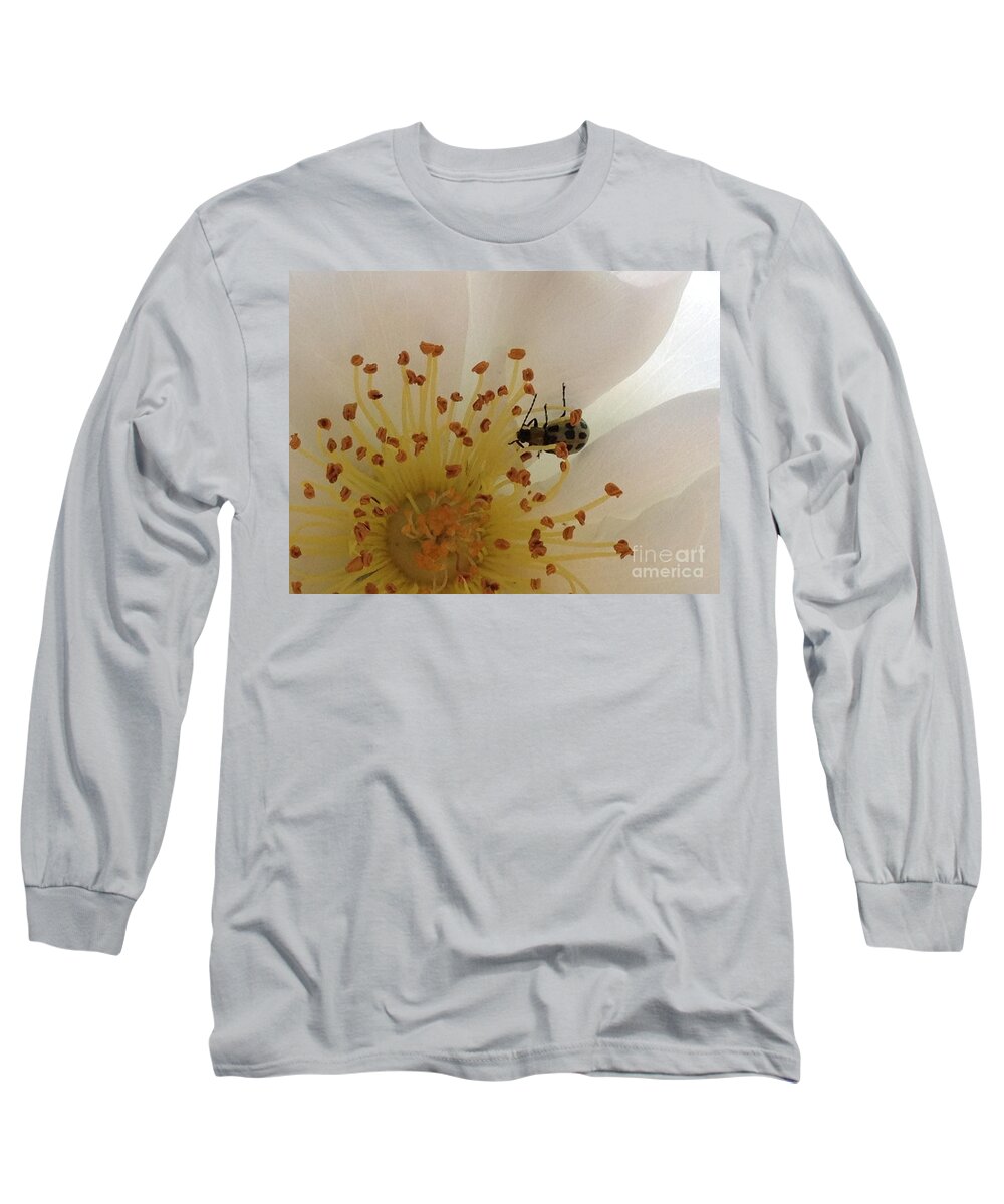 White Rose Long Sleeve T-Shirt featuring the photograph White Rose With Bug by Jacklyn Duryea Fraizer