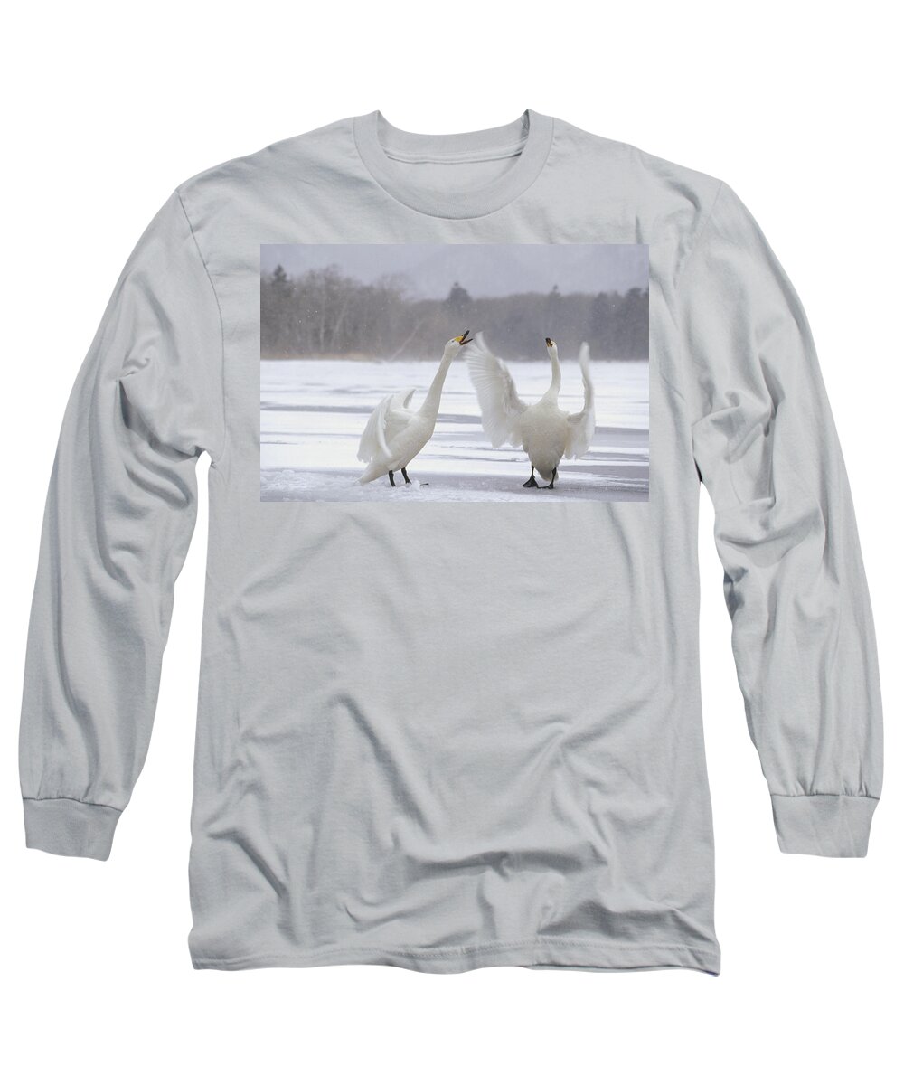 Feb0514 Long Sleeve T-Shirt featuring the photograph Whooper Swans Arguing Hokkaido Japan by Konrad Wothe