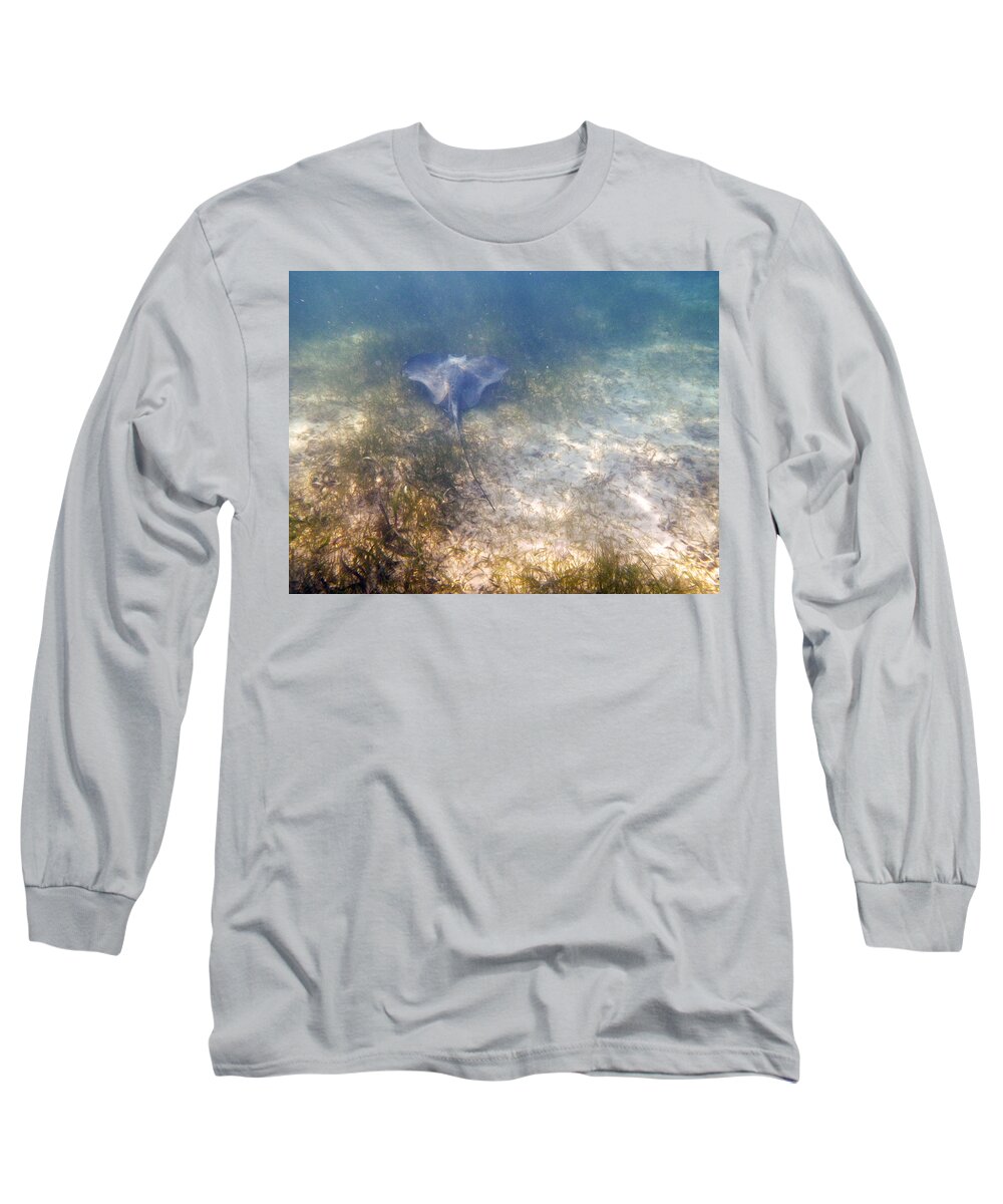 Underwater Long Sleeve T-Shirt featuring the photograph Wild sting ray by Eti Reid