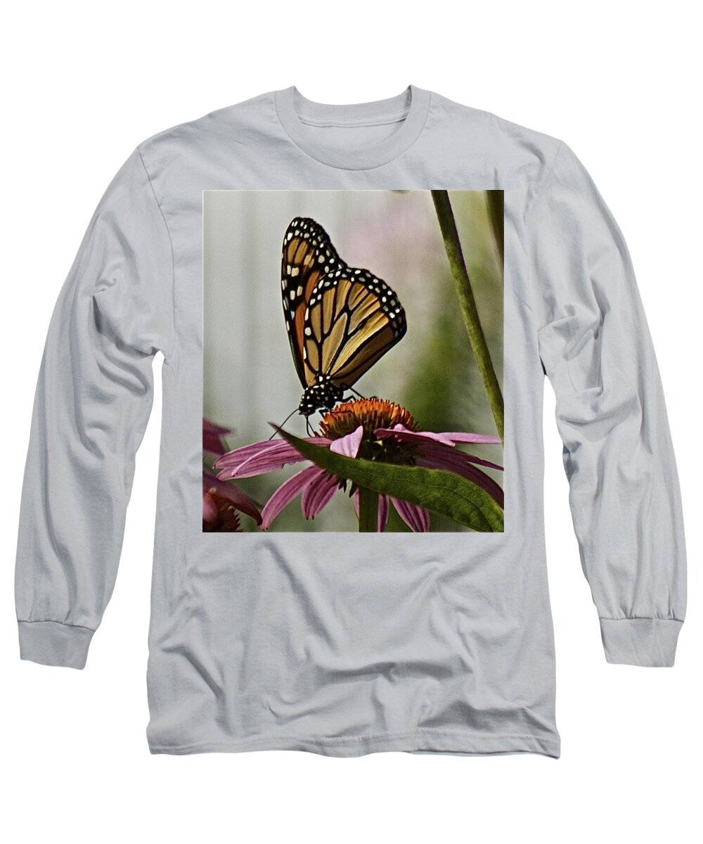 Monarch Butterfly Long Sleeve T-Shirt featuring the photograph Monarch Butterfly by Suanne Forster