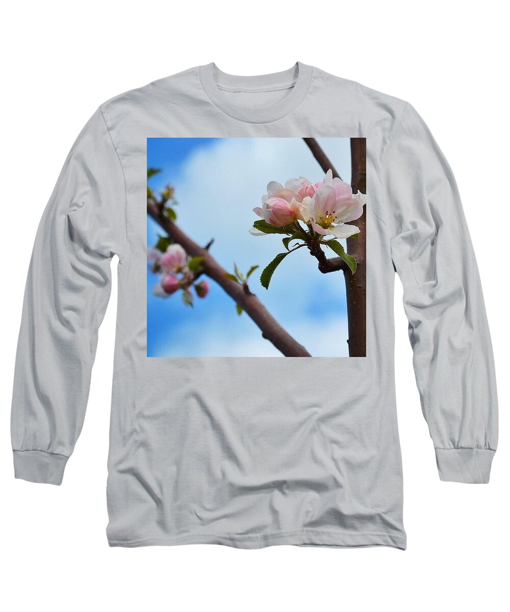 Instaaaaah Long Sleeve T-Shirt featuring the photograph Apple Blossom In The Sky by Silva Halo