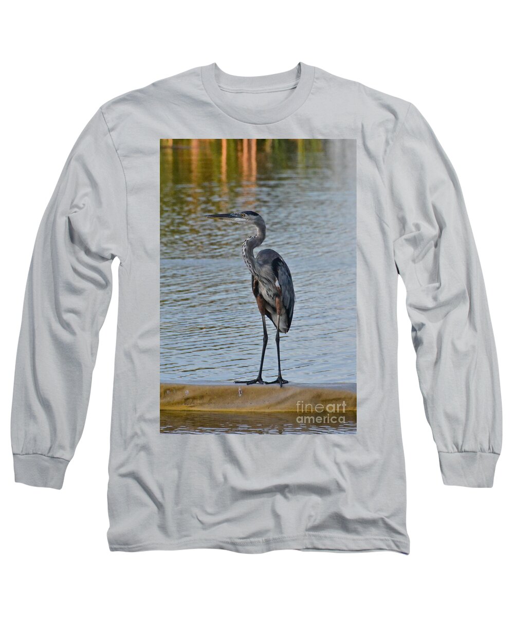 Bird Long Sleeve T-Shirt featuring the photograph Great Blue Heron by Carol Bradley