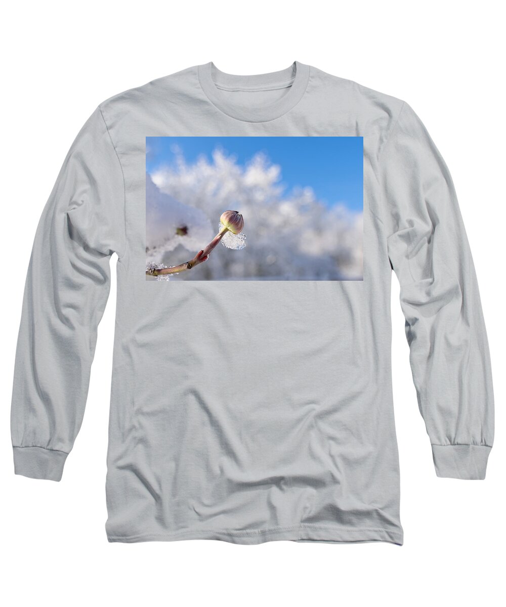 Cold Long Sleeve T-Shirt featuring the photograph Iced Dogwood by Lori Coleman