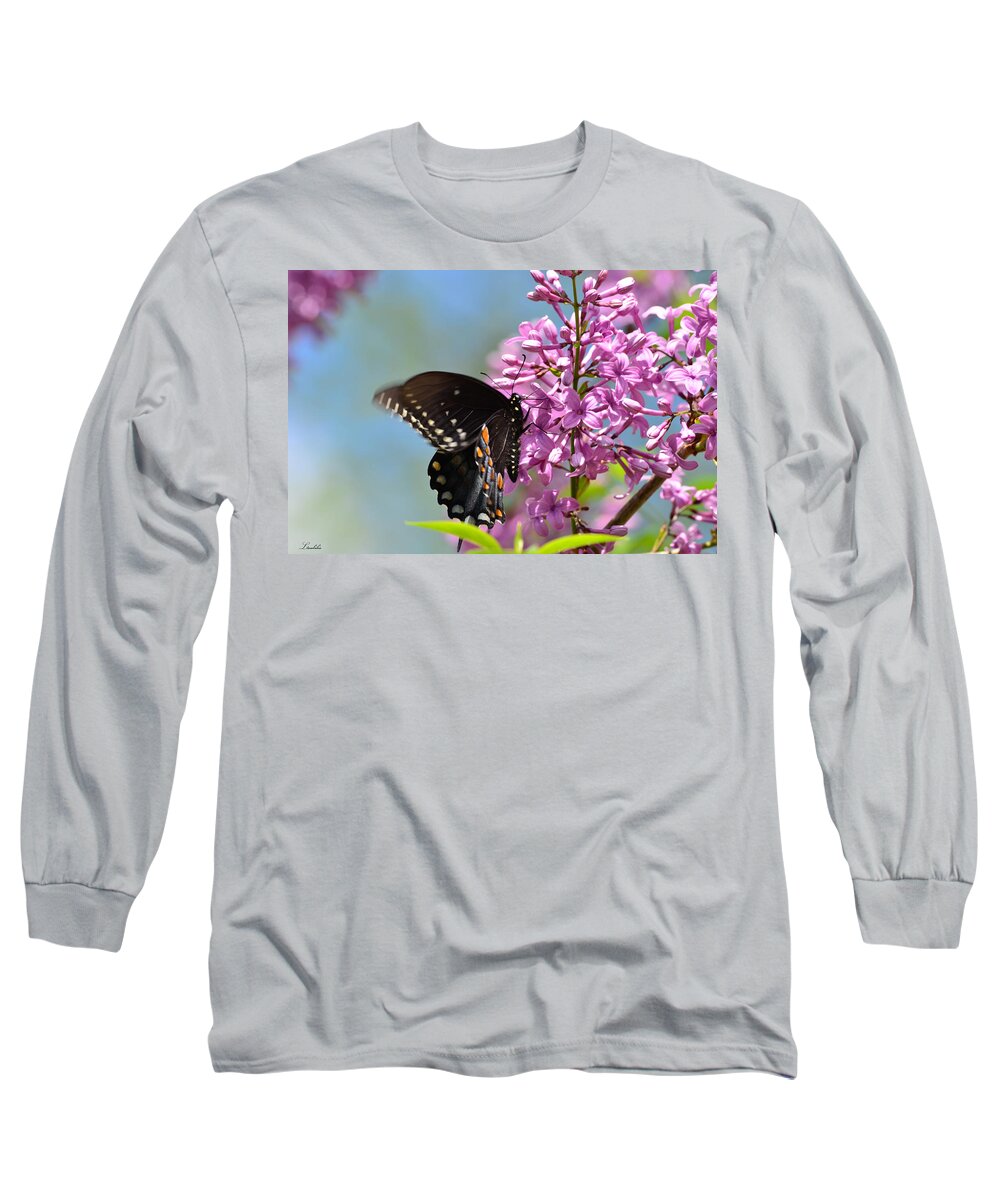 Butterfly Long Sleeve T-Shirt featuring the photograph Nothing says Spring like Butterflies and Lilacs by Lori Tambakis