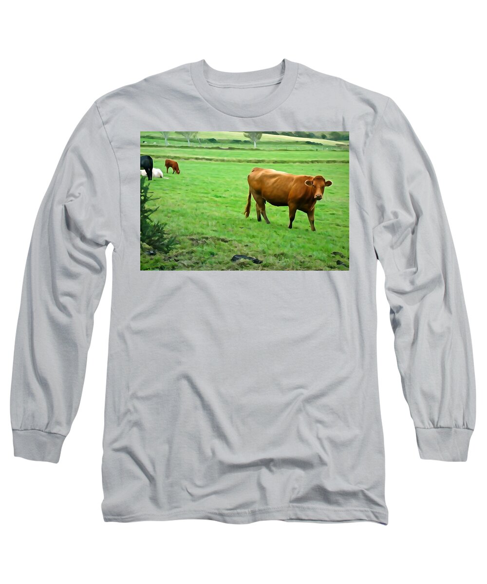 Cattle Long Sleeve T-Shirt featuring the photograph Red Cow by Norma Brock