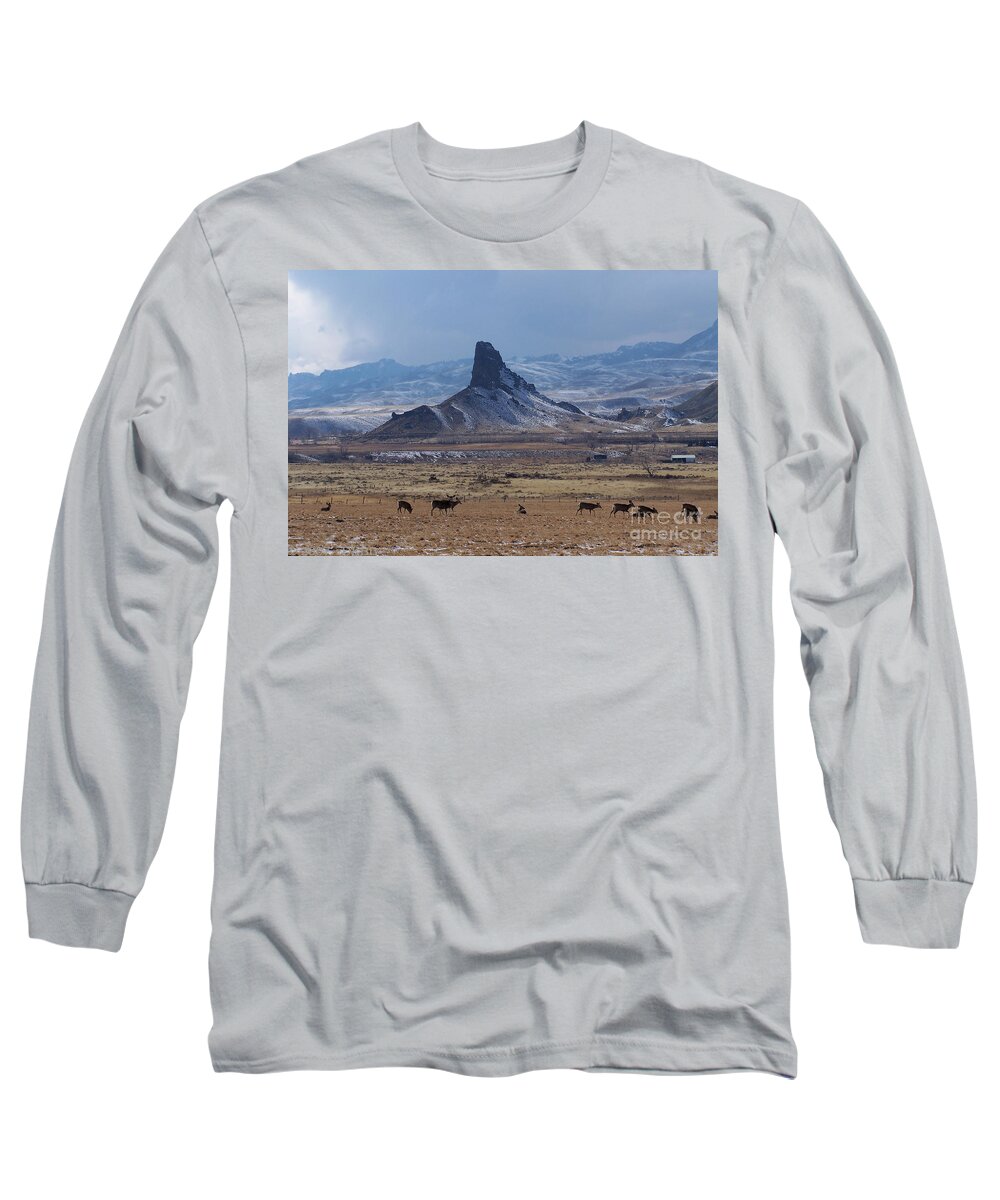 Deer Long Sleeve T-Shirt featuring the photograph Sentinels by Dorrene BrownButterfield