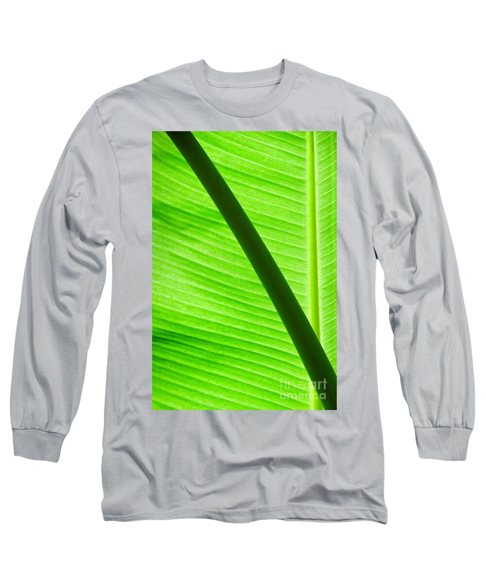 Banana Long Sleeve T-Shirt featuring the photograph Abstract banana Leaf #1 by Yurix Sardinelly