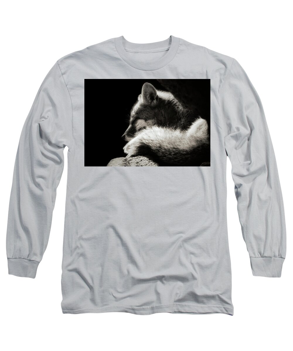 Grey Fox Long Sleeve T-Shirt featuring the photograph Nap Time #1 by Elaine Malott