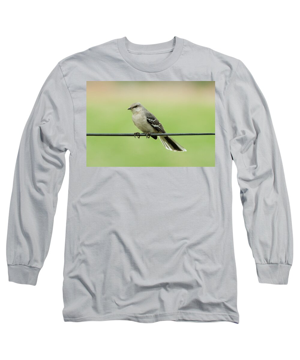 Bird Long Sleeve T-Shirt featuring the photograph Northern Mockingbird by Holden The Moment