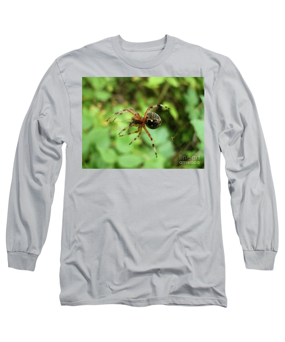 Spider Long Sleeve T-Shirt featuring the painting Spider by 'REA' Gallery