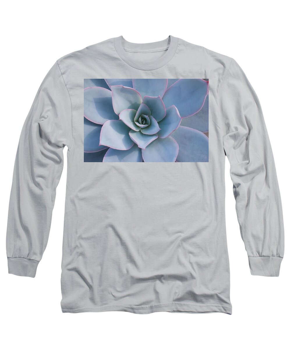 Succulent Long Sleeve T-Shirt featuring the photograph Succulent Beauty #1 by Catherine Lau