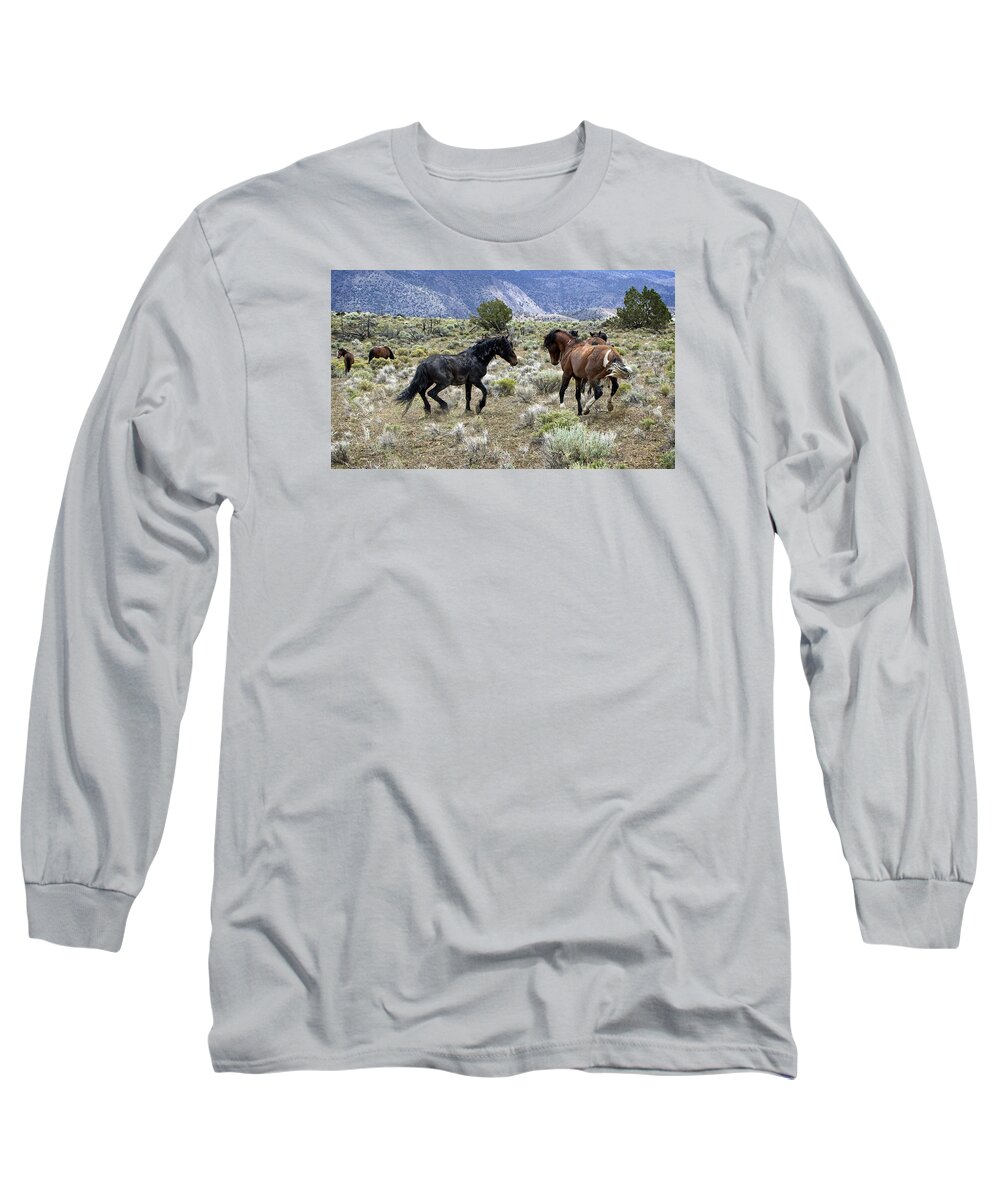 Horses Long Sleeve T-Shirt featuring the photograph Wild Mustang Stallions Fighting #1 by Waterdancer 