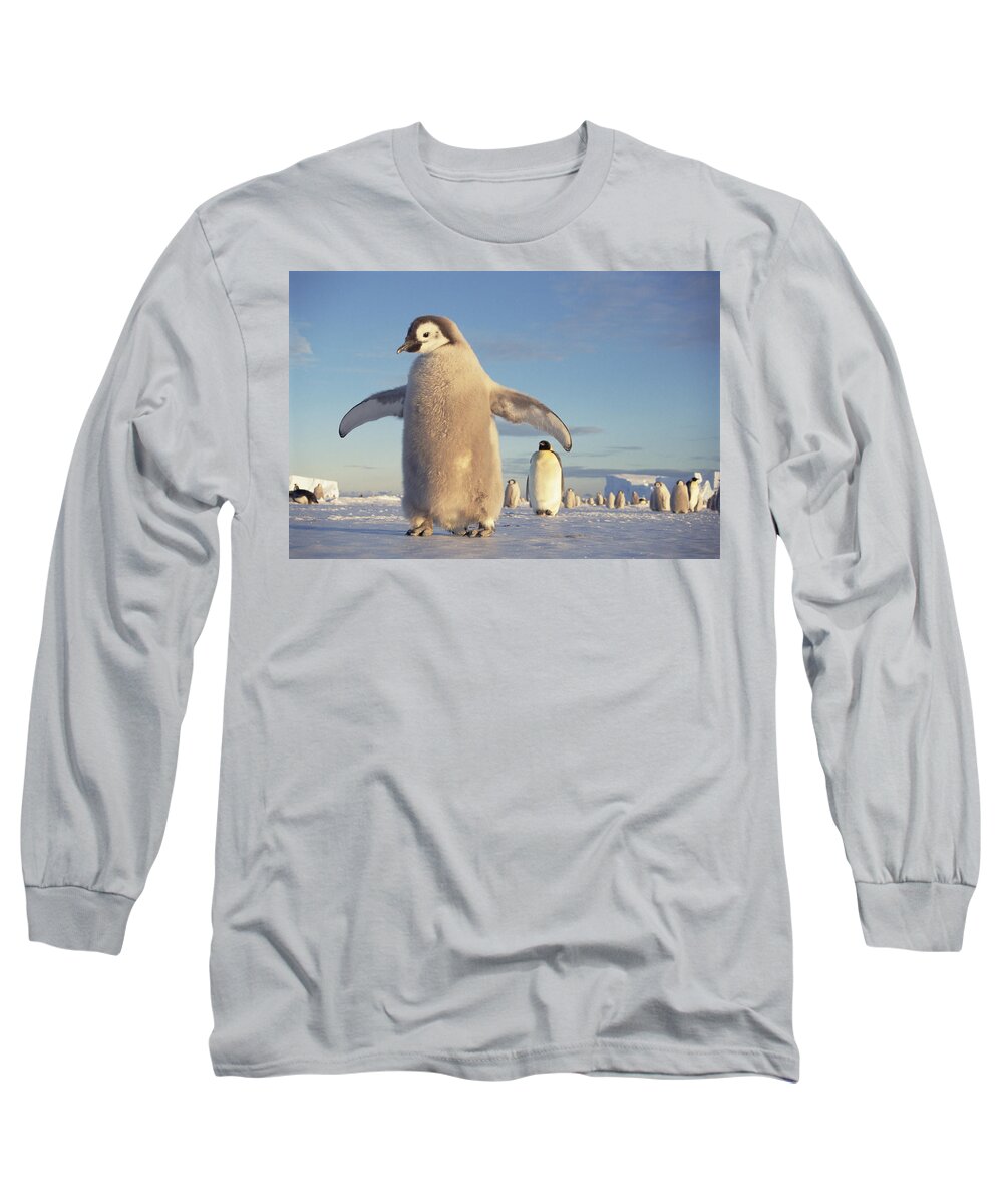 Mp Long Sleeve T-Shirt featuring the photograph Emperor Penguin Aptenodytes Forsteri #2 by Tui De Roy