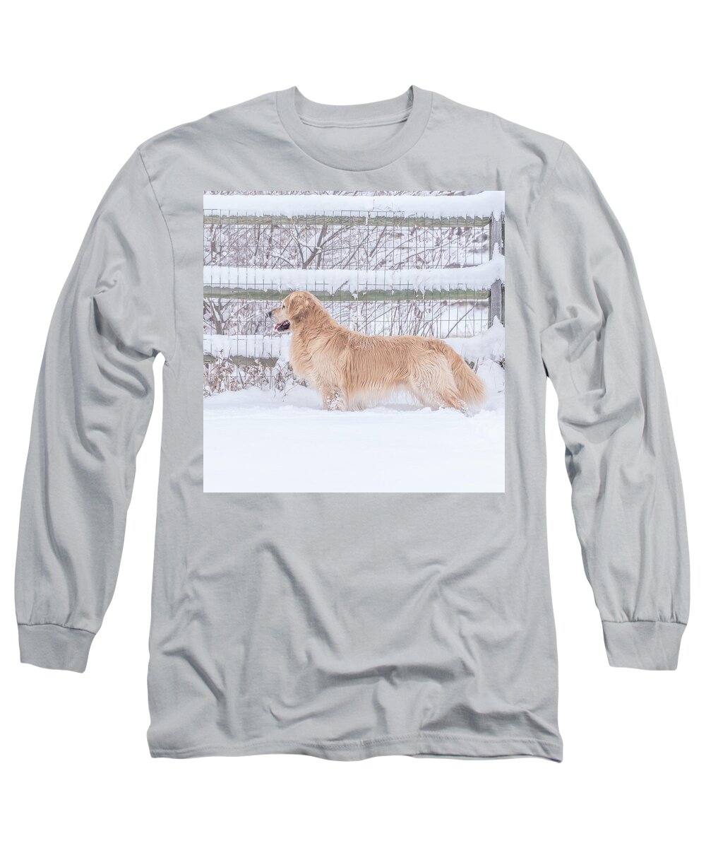 Dogs Long Sleeve T-Shirt featuring the photograph Ever Watchful #2 by Jennifer Grossnickle
