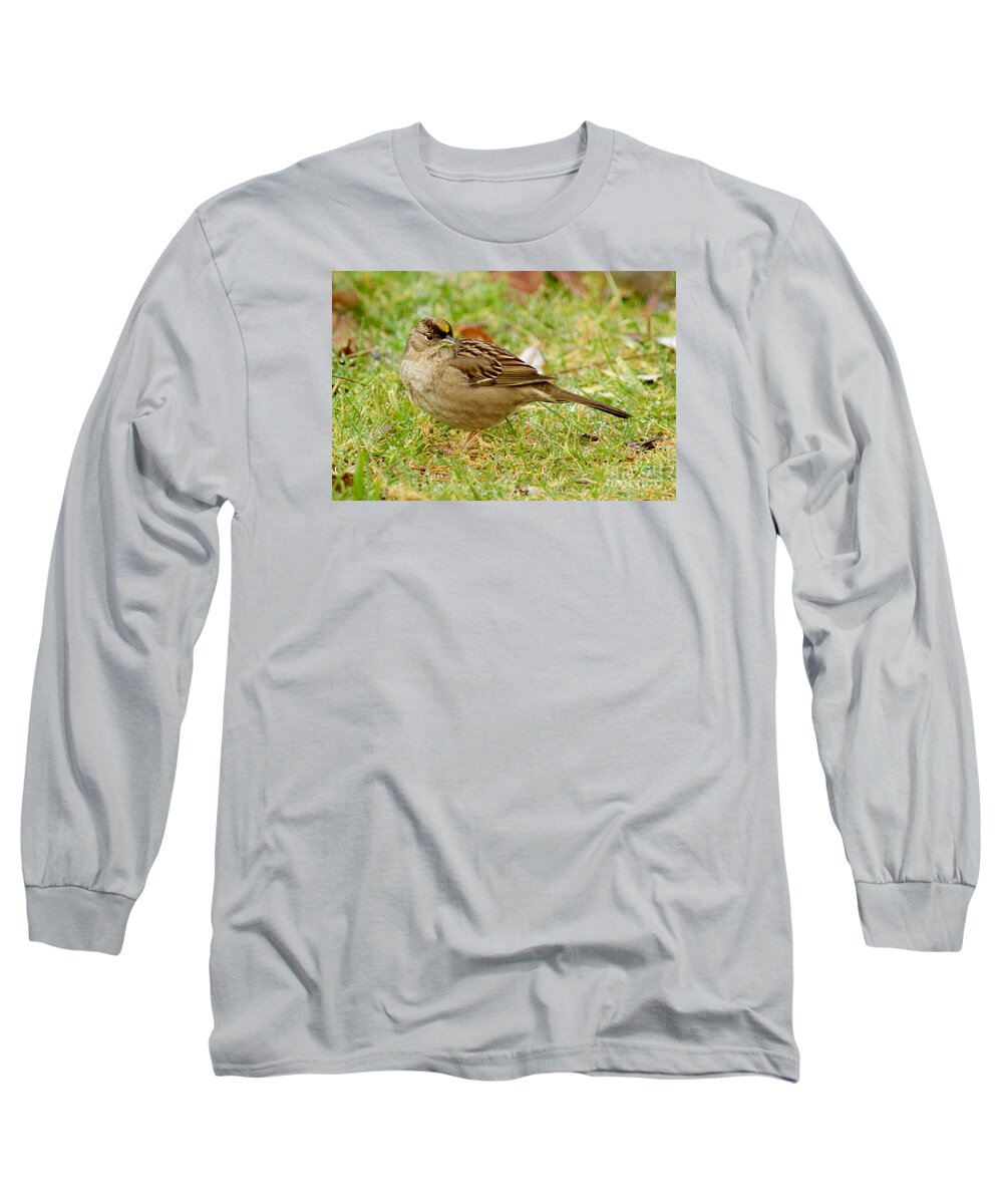 Photography Long Sleeve T-Shirt featuring the photograph Golden-Crowned Sparrow #2 by Sean Griffin