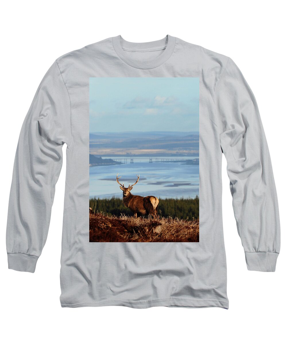 Stag Long Sleeve T-Shirt featuring the photograph Stag Overlooking the Beauly Firth and Inverness #2 by Gavin Macrae