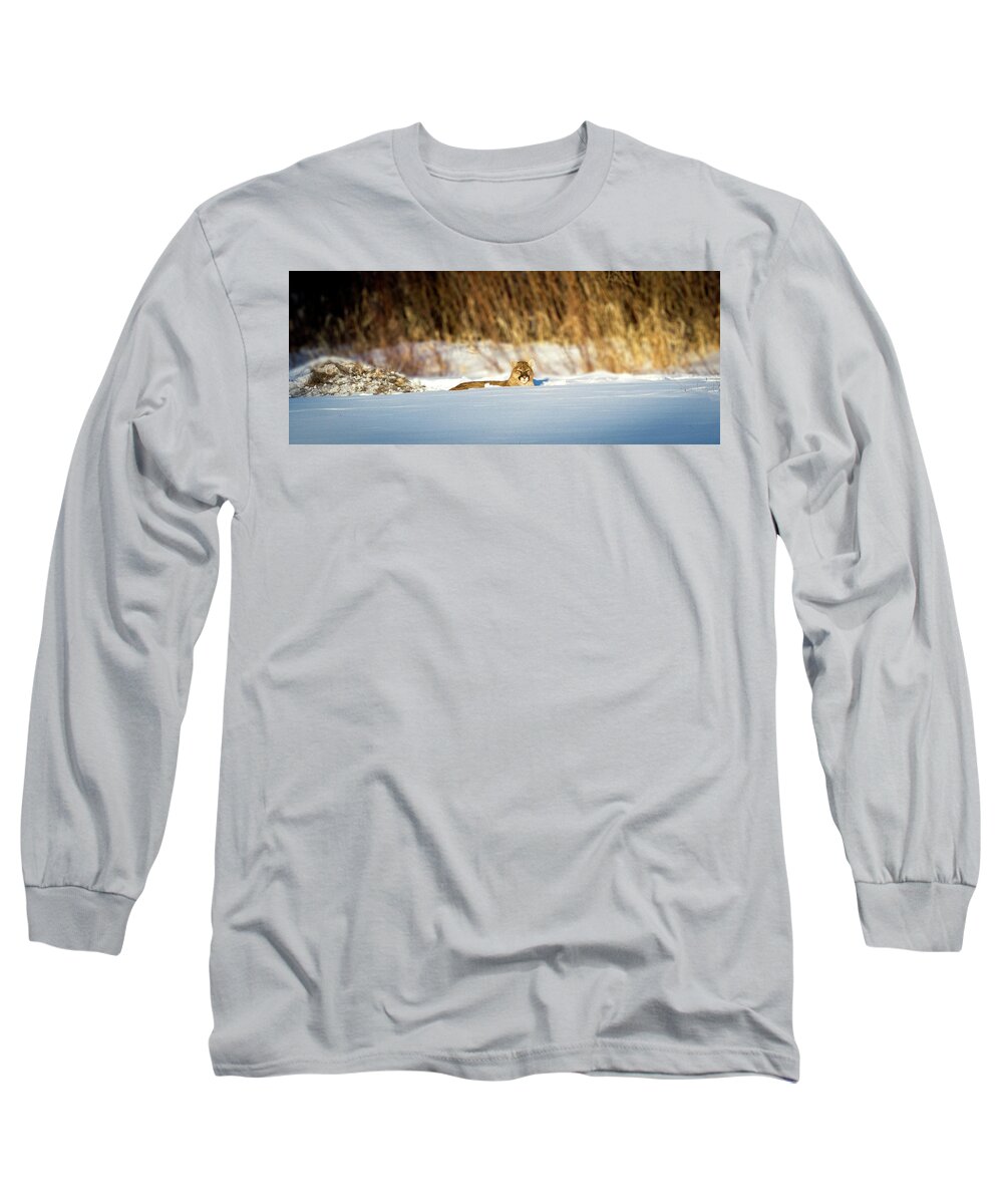Lion Long Sleeve T-Shirt featuring the photograph 3 Waters Ghost by Kevin Dietrich